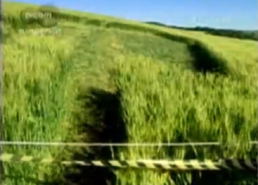 Isolamento inicial de área para preservação de evidências